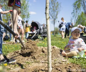 Rodzice dzieci z Tychów mogą posadzić pamiątkowe drzewo