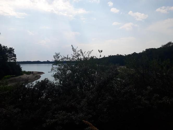 Chciała zobaczyć z bliska PIĘKNE jezioro, ale UTKNĘŁA w mule! Chwile grozy w Osadniku Gajówka