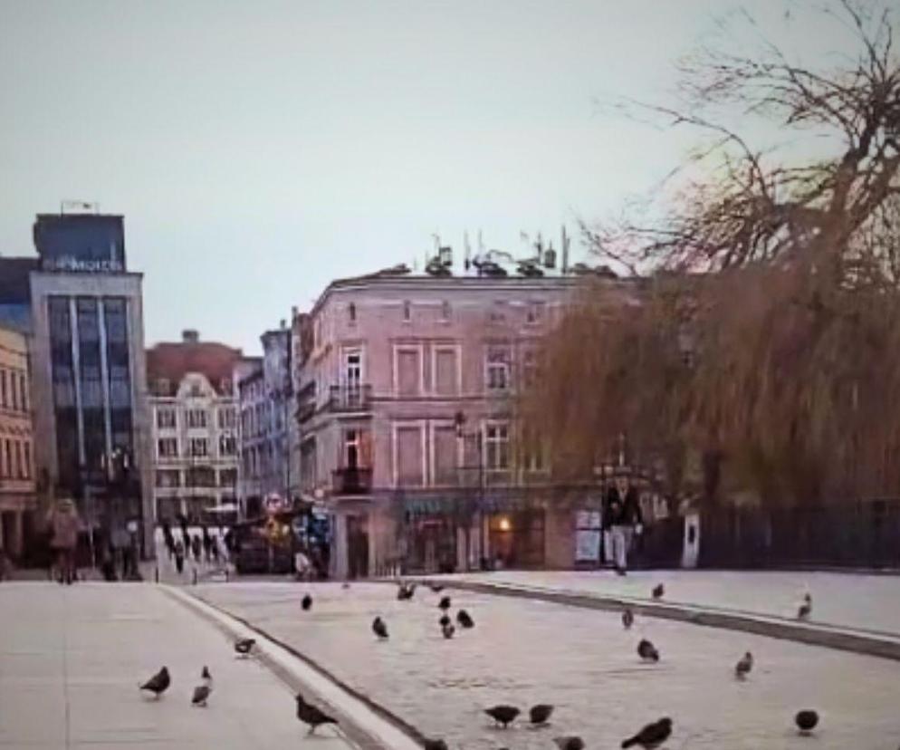 Właścicielka cennego pierścionka poszukiwana. Trafił do kosza na śmieci w barze z kebabem