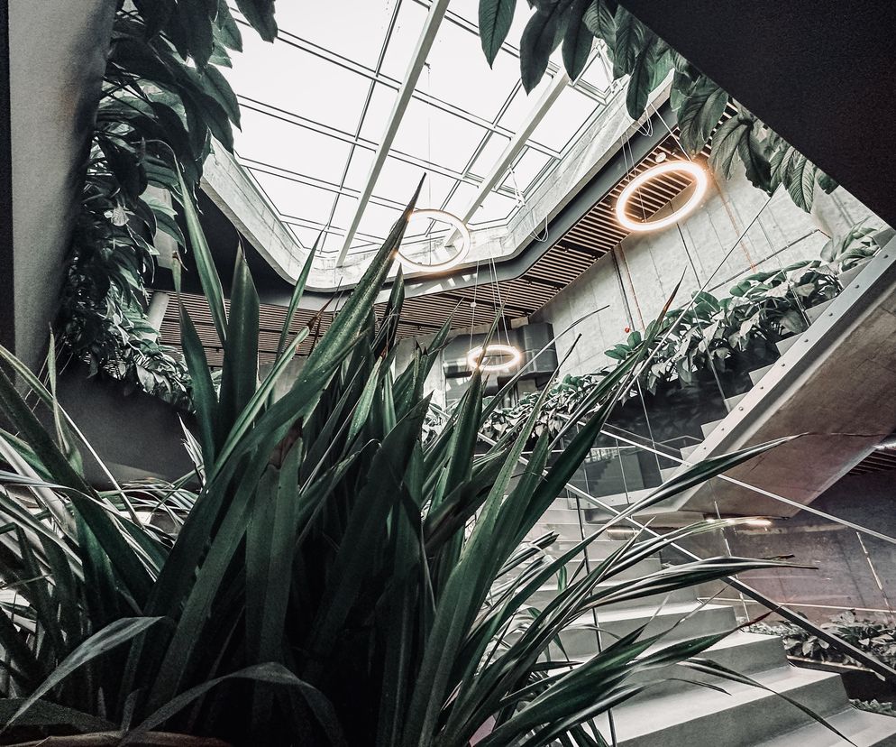 Nowe Egzotarium w Sosnowcu
