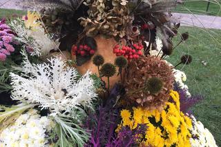 Jesienne kompozycje w Grudziądzu