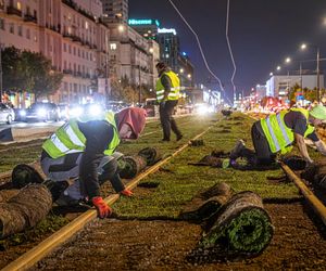 Wielki powrót tramwajów na Marszałkowską. Pojadą po zielonym dywanie