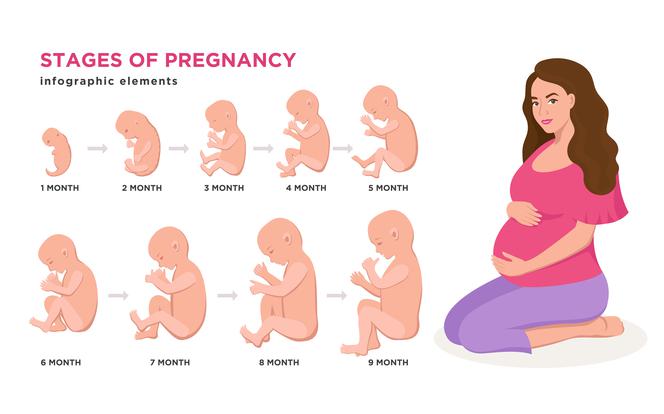 Dziecko przez 9 miesięcy ciąży