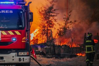 Fala upałów nadciąga nad Polskę. Śledź zagrożenie pożarowe w lasach