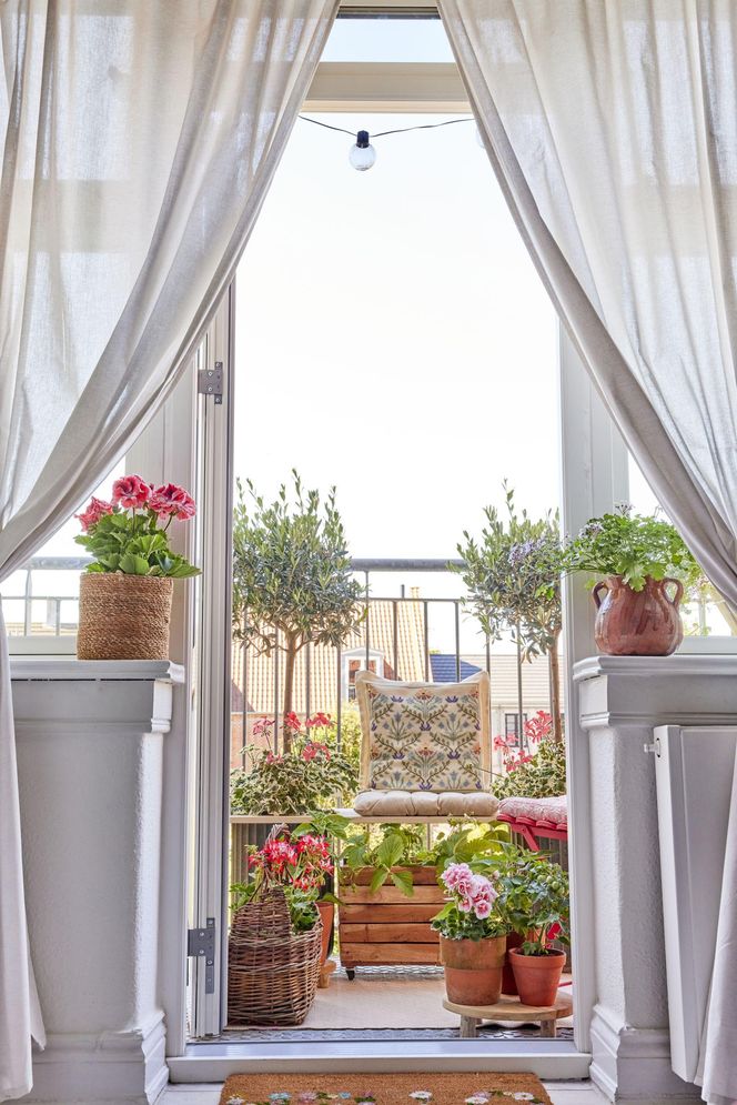 Pomysłowe aranżacje z pelargoniami w roli głównej