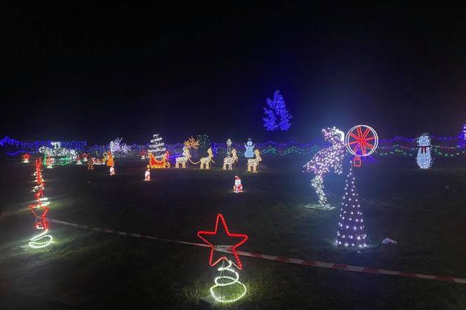 Zelów: 300 tysięcy lampek na jednej posesji! Tak powstała Magiczna Kraina! [WIDEO, AUDIO] 