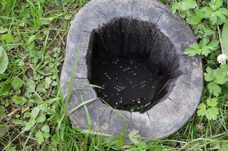 Nieznana atrakcja turystyczna. Mofety można znaleźć tylko w jednym regionie Polski