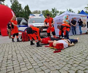 Lubelski Piknik Naukowy rozpoczyna XX Lubelski Festiwal Nauki