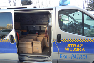 Straż Miejska w Lublinie pomaga podopiecznym MOPR-u, a także osobom na kwarantannie