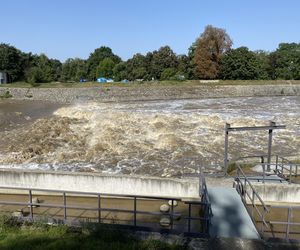 Jaz Szczytnicki we Wrocławiu coraz bardziej wypełniony. Do Wrocławia zbliża się fala ZDJĘCIA