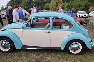 Klasyczne auta pod wiatrakami w Osiecznej