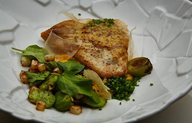 Turbot z puree z dyni, bobem i kalarepą