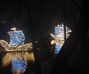 Iluminacje świetlne 2024 Gdańsk