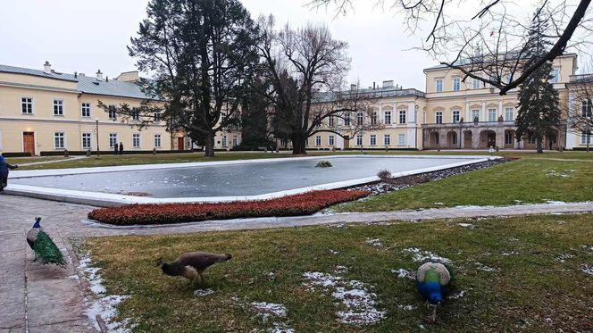 To najbogatsze miasta w woj. lubelskim
