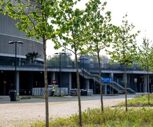Tarczyński Arena