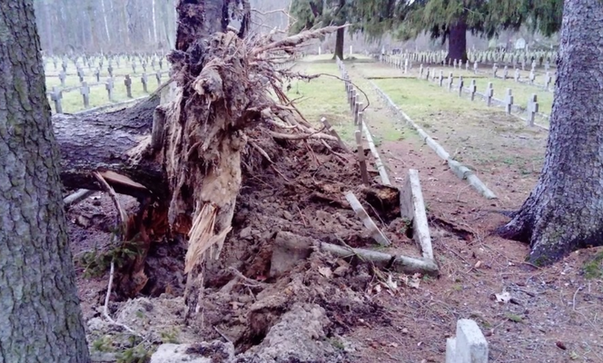 Muzeum Jenieckie liczy straty...i liczy na pomoc!