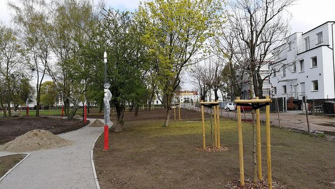 Budowa parku Heweliusza