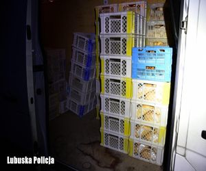Odjechał wozem z pieczywem, może pójść siedzieć