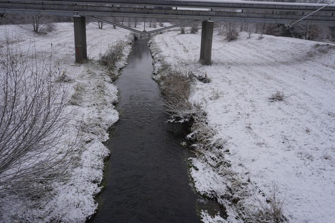 Zima w Świętokrzyskiem. Skarżysko-Kamienna (22.11.2024)