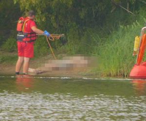 Tragiczne zdarzenie w Nowym Dworze Mazowieckim. Młody chłopak chciał przepłynąć Narew wpław