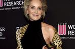 Sharon Stone wciąż ma nagi instynkt! Zobacz nowe zdjęcia