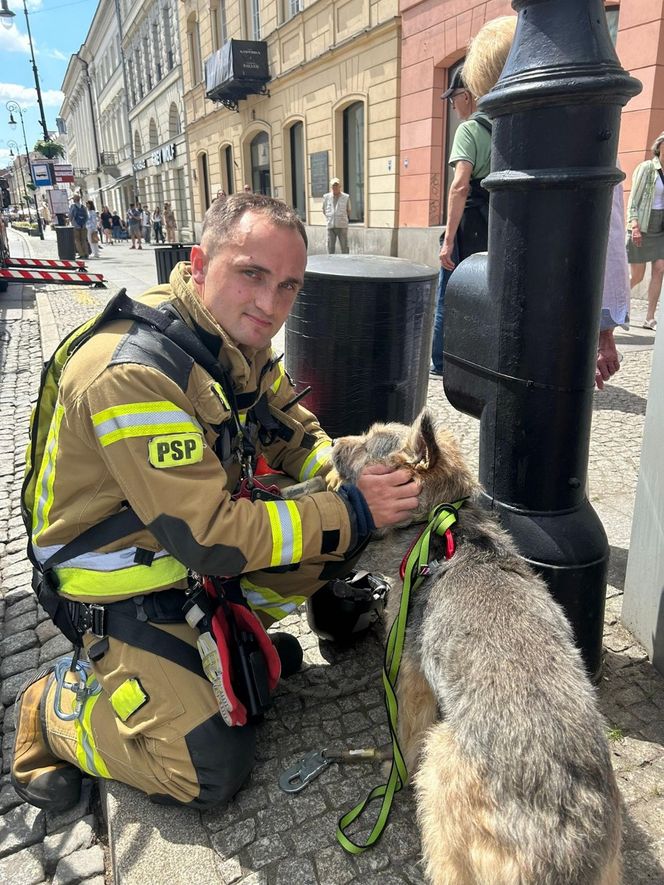 Niezwykła akcja strażaków na Nowym Świecie. Pies hasał po dachu kamienicy