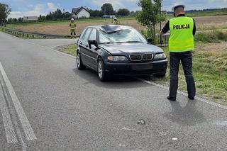 zdjęcia z miejsca wypadku