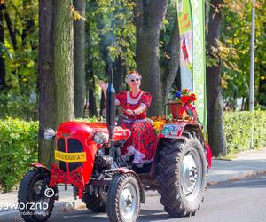 Dożynki miejskie w Jaworznie