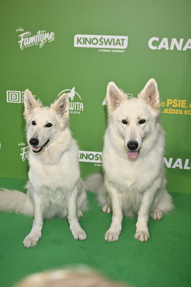 "O psie, który jeździł koleją 2" - premiera filmu