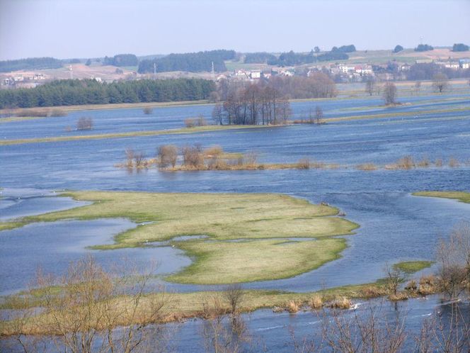 TOP 10 najbiedniejszych powiatów w Podlaskiem