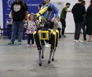 Parada samochodów i motocykli oraz naukowe doświadczenia, czyli Lubelski Piknik Naukowy 2025