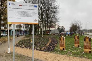 Lawendowy Park Kieszonkowy w Białymstoku