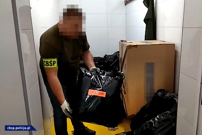 CBŚP zabezpieczyło krzaki, z których byłoby prawie 400 kilogramów suszu!