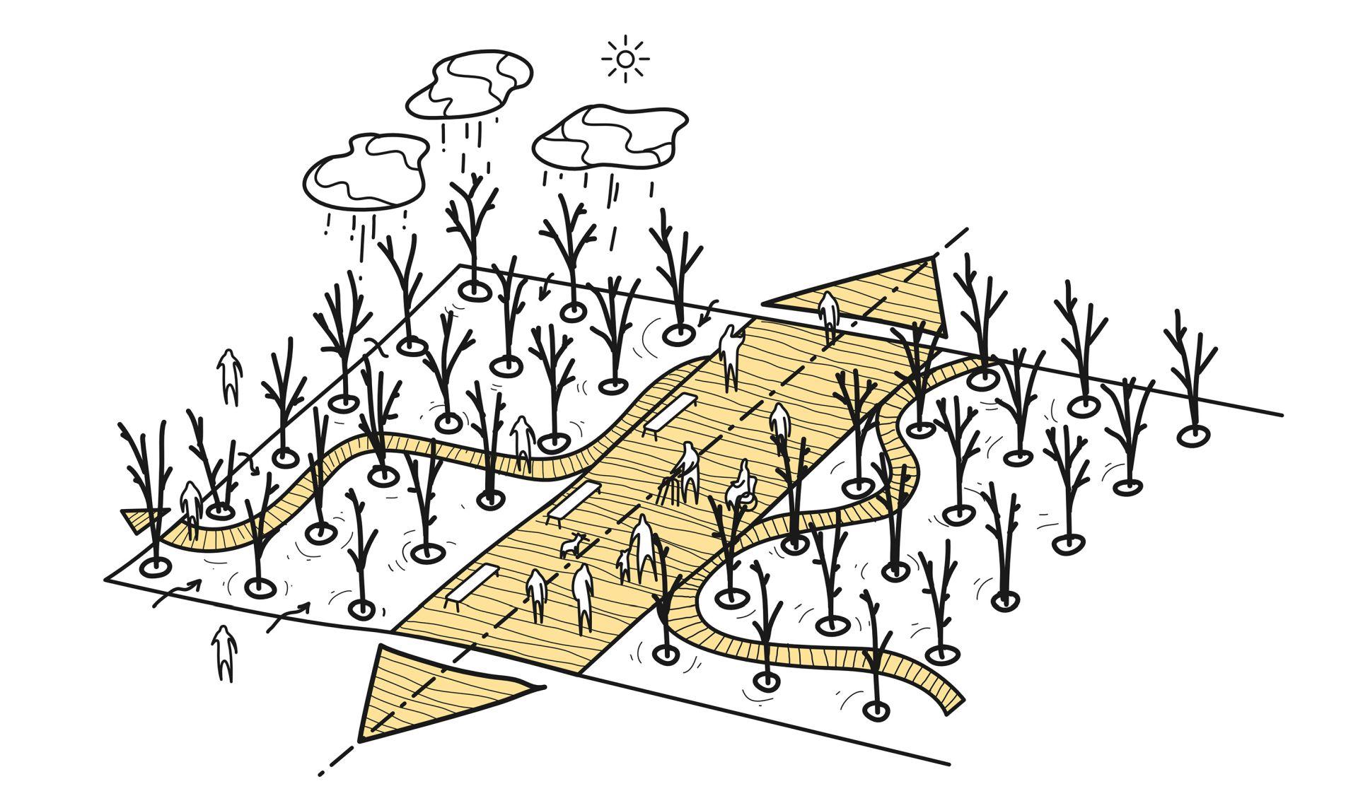 Pirs Przyszłości: konkurs na projekt zagospodarowania głównej osi kompozycyjnej Gdyni [WYNIKI]