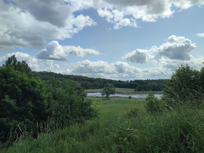 Zwalony most w Grądach Kruklaneckich