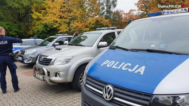 Specjalne leśne patrole. Policjanci i leśnicy kontra grzybiarze