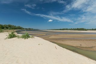 Plaża w Ciszycy (pow. piaseczyński)