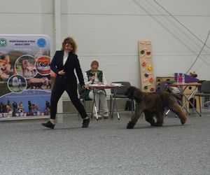 ZOOPARK w Lublinie. „Postawiliśmy na polski las. Chcemy promować nasze zwierzątka”