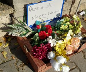 Przygotowania do Wszystkich Świętych Zamość