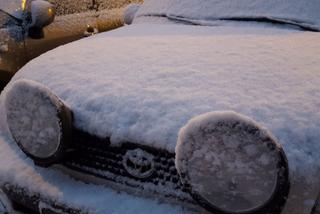 ​Biało wszędzie. Zimowy poranek w Lesznie