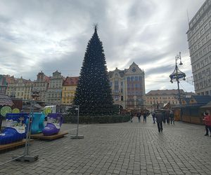 Choinka za milion złotych stanęła we Wrocławiu. Tak wygląda luksusowe drzewko 