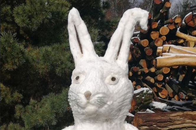 Wielkanocny zając ze śniegu pojawił się na terenie prywatnej posesji w Drawnie