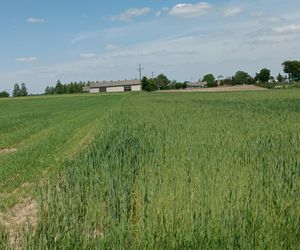 Mieszkańcy protestują: nie damy zabić się asfaltem. „Boję się o życie swojego półrocznego synka”