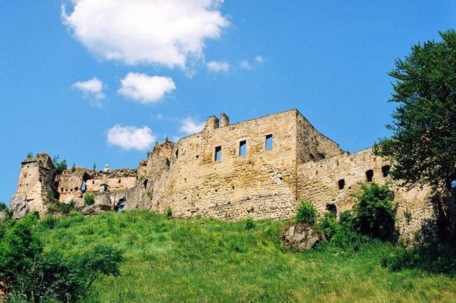 Odrzykoń - w tej wsi na Podkarpaciu w setną rocznicę insurekcji wystawiono pomnik Tadeusza Kościuszki. Stanął wśród ruin zamku