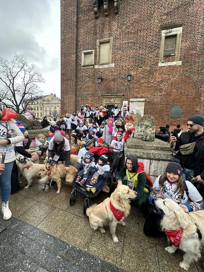 WOŚP 2024 w Krakowie. Grupa Golden Retriever opanowała cały Rynek Główny!