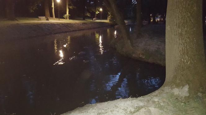 Odmulono staw w parku na osiedlu Słocina