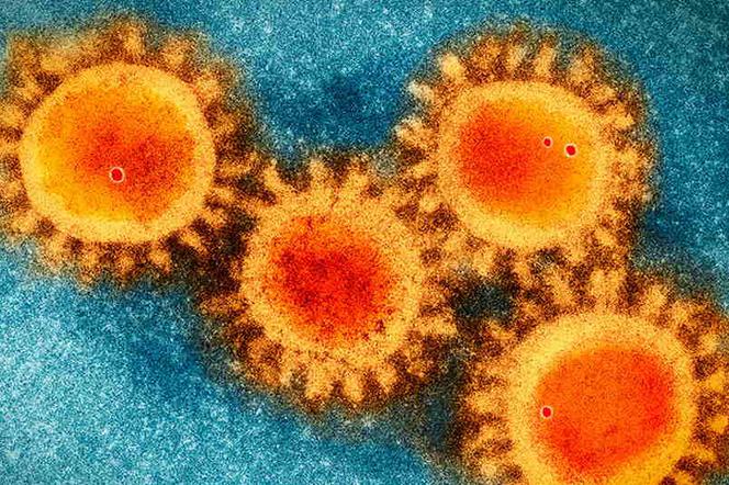 Lubelskie - 241 nowych przypadków koronawirusa