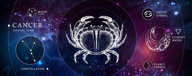 Znaki zodiaku: RAK (22.06 – 22.07)