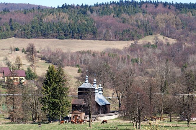 To dawna wieś królewska w Małopolsce. Mieszkał w niej święty męczennik