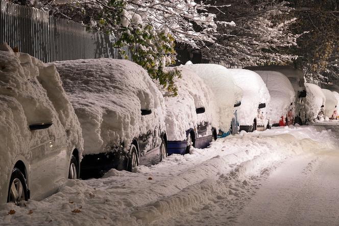 Śląskie: W regionie spadło 20 cm śniegu i niektórym nie chce się odśnieżyć samochodu. Posypały się mandaty!
